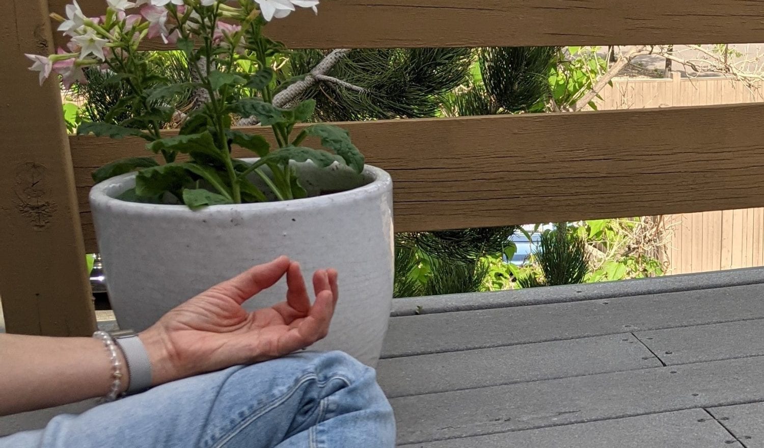 Chinmudra1