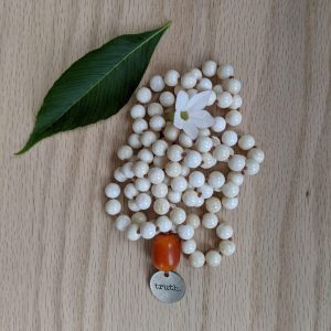 Tridacna Shell with faux Amber Mala